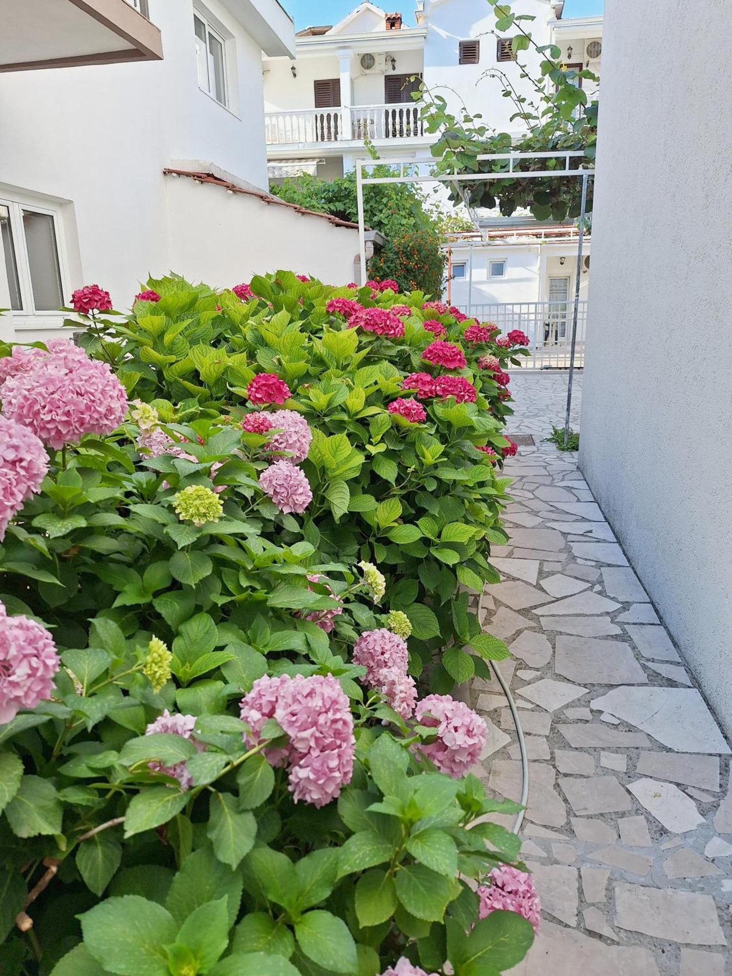 Apartmani Hortenzija بودفا المظهر الخارجي الصورة