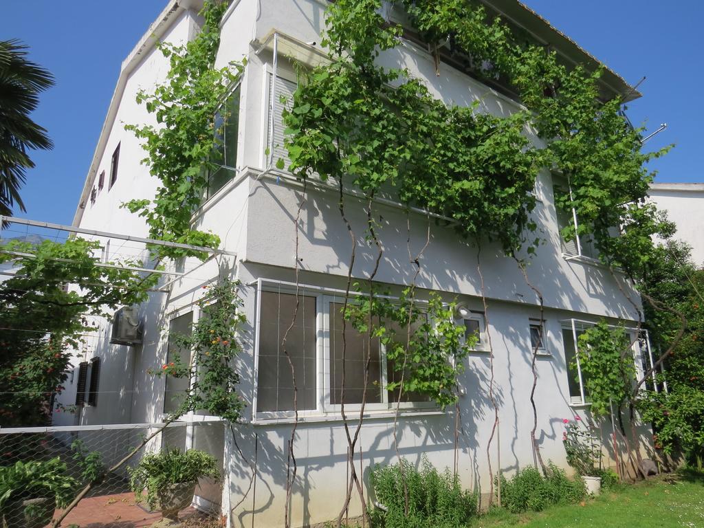 Apartmani Hortenzija بودفا المظهر الخارجي الصورة